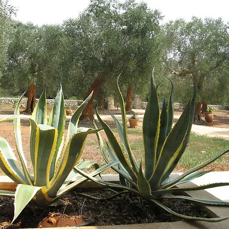 Villa Tramontana *