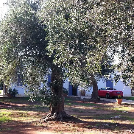 Villa Tramontana Spongano