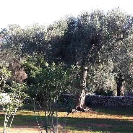 Tramontana Villa *