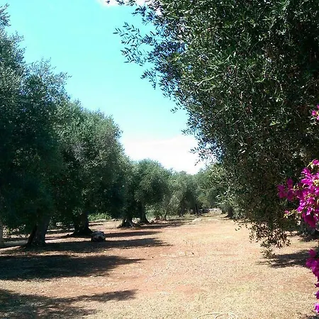 Tramontana Spongano